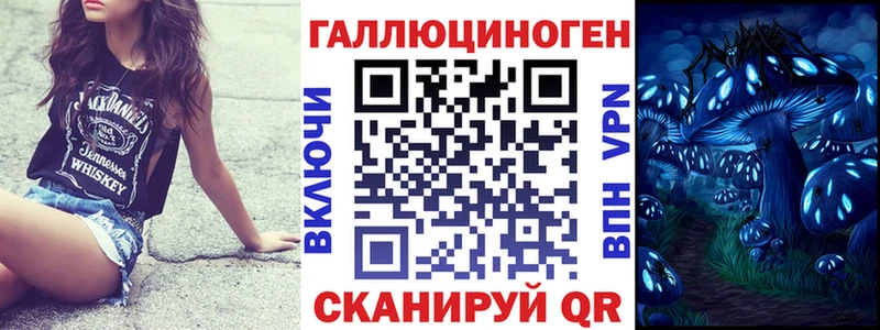 mega ТОР  как найти закладки  Купино  Псилоцибиновые грибы Psilocybe 