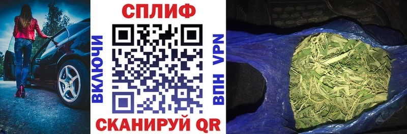 Канабис конопля  продажа наркотиков  Купино 